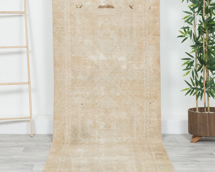 Beige Runner Rug 3' x 10' 10" | No. VR82095