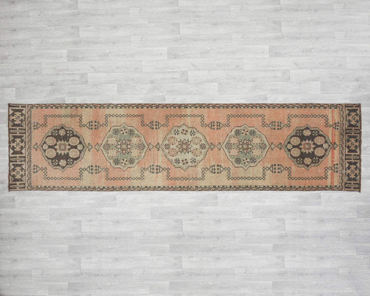 Runner Rug 3' x 11' 4" | No. VR14562