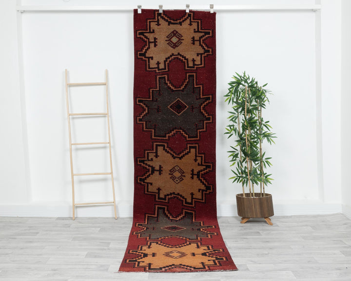Runner Rug 10' 8" x 2' 10" | No. VR20554