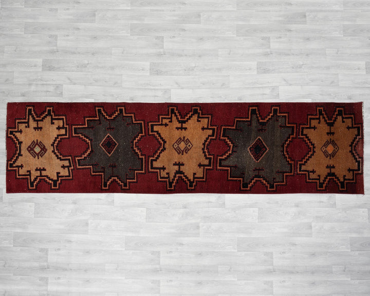 Runner Rug 10' 8" x 2' 10" | No. VR20554