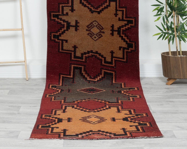 Runner Rug 10' 8" x 2' 10" | No. VR20554