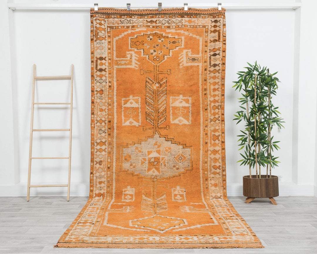 Runner Rug 4' 8" x 11' | No. VR27414