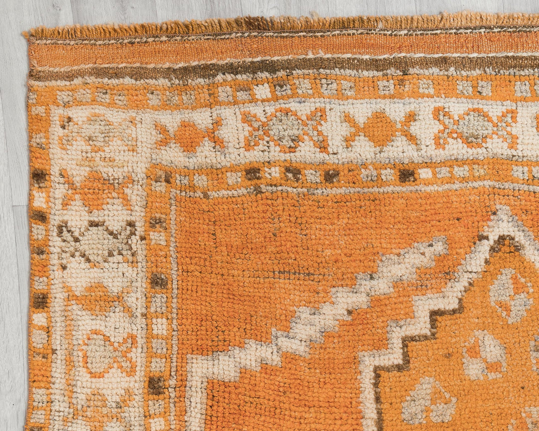 Runner Rug 4' 8" x 11' | No. VR27414