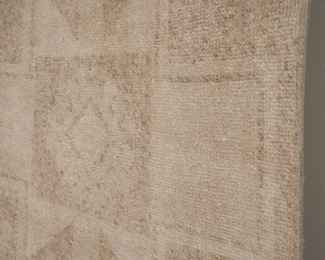 Beige Runner Rug 2' 7" x 12' 7" | No. VR91456