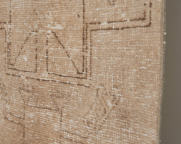 Runner Rug 2' 7" x 11' | No. VR60023