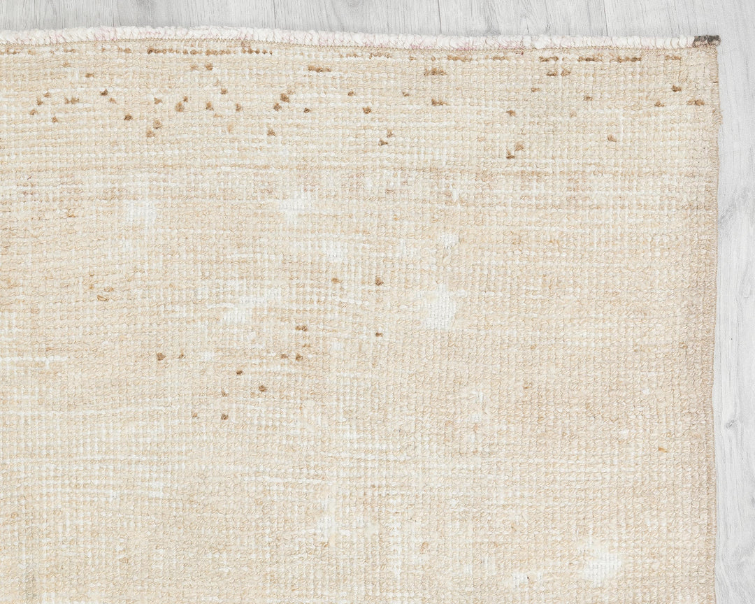Beige Runner Rug 3' 1" x 11' 6" | No. VR40005