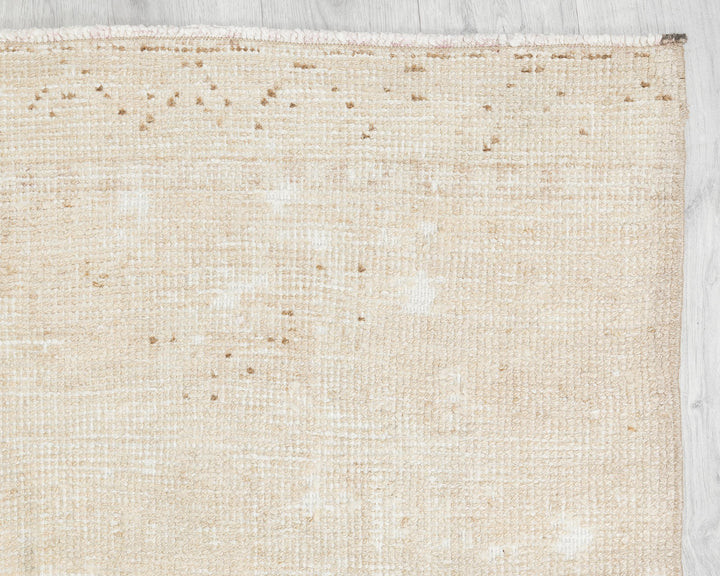 Beige Runner Rug 3' 1" x 11' 6" | No. VR40005