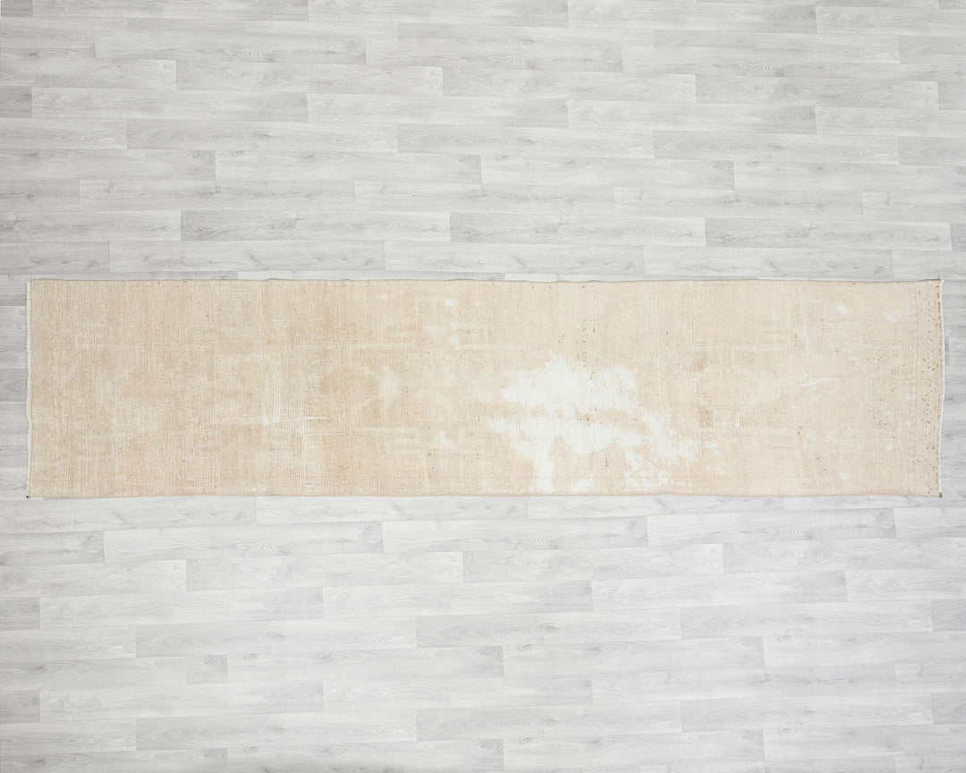 Beige Runner Rug 3' 1" x 11' 6" | No. VR40005