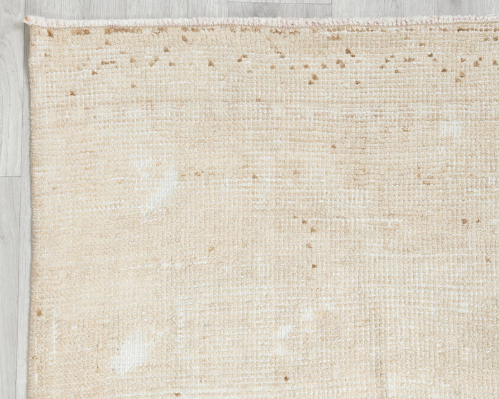 Beige Runner Rug 3' 1" x 11' 6" | No. VR40005