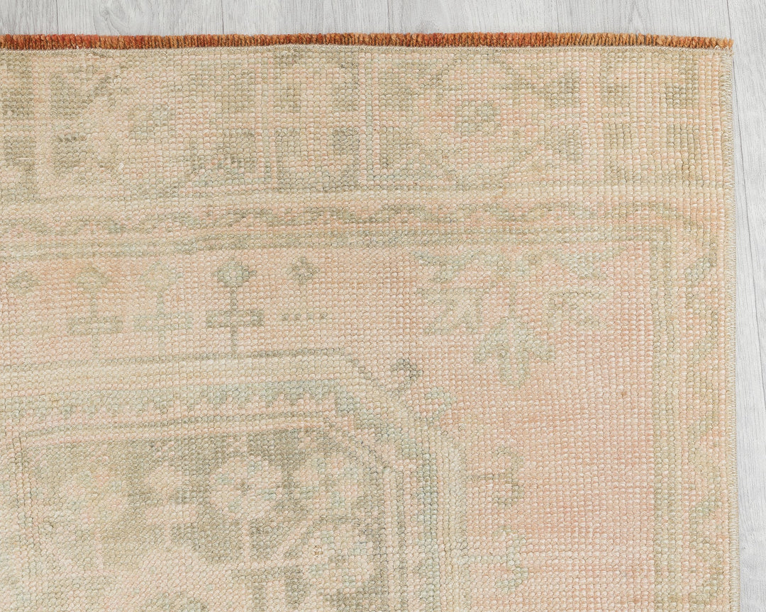Beige Runner Rug 2' 8" x 10' 11" | No. VR54133