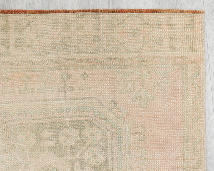 Beige Runner Rug 2' 8" x 10' 11" | No. VR54133