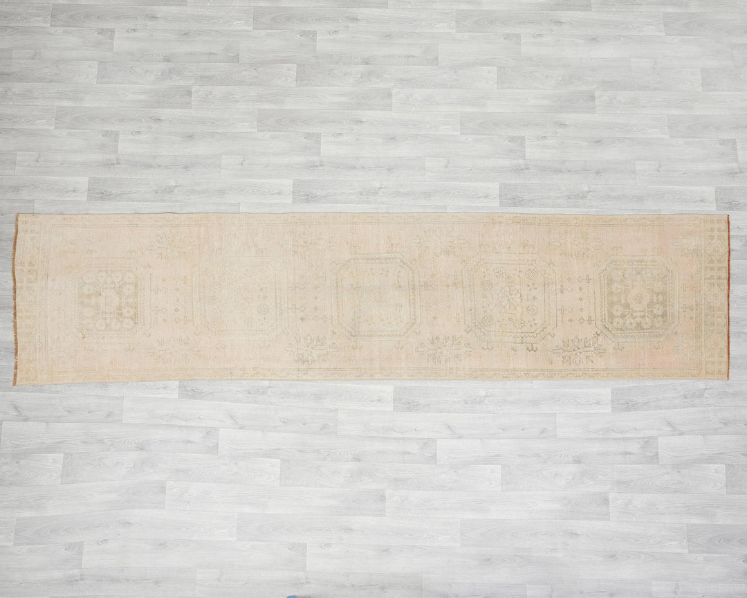 Beige Runner Rug 2' 8" x 10' 11" | No. VR54133