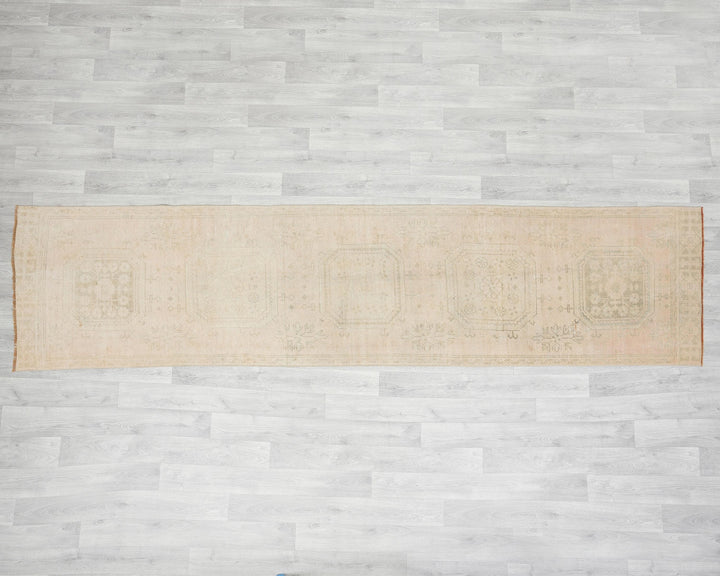 Beige Runner Rug 2' 8" x 10' 11" | No. VR54133
