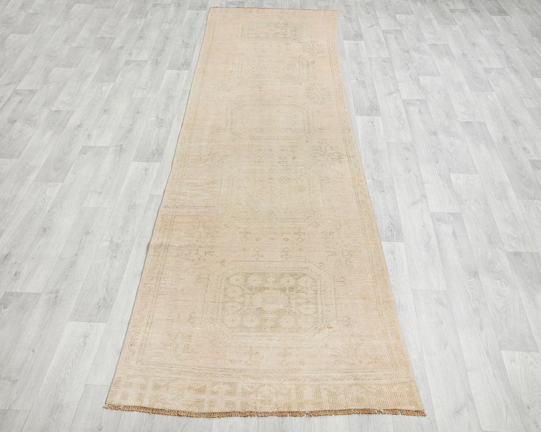 Beige Runner Rug 2' 8" x 10' 11" | No. VR54133