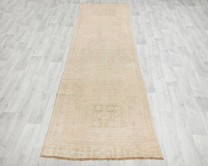 Beige Runner Rug 2' 8" x 10' 11" | No. VR54133