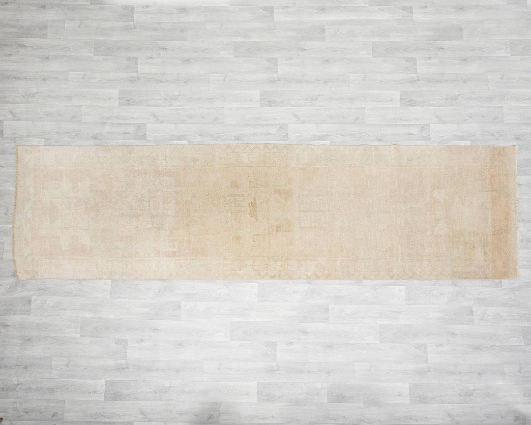 Beige Runner Rug 3' 1" x 11' 6" | No. VR93347