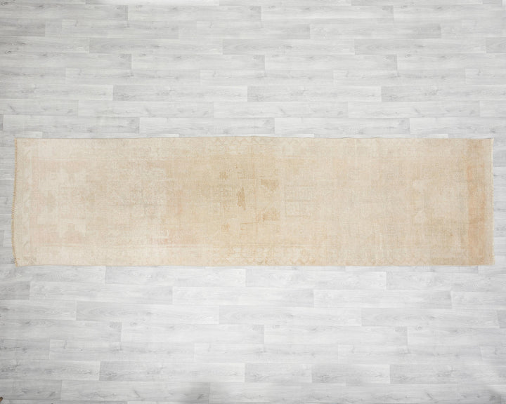 Beige Runner Rug 3' 1" x 11' 6" | No. VR93347