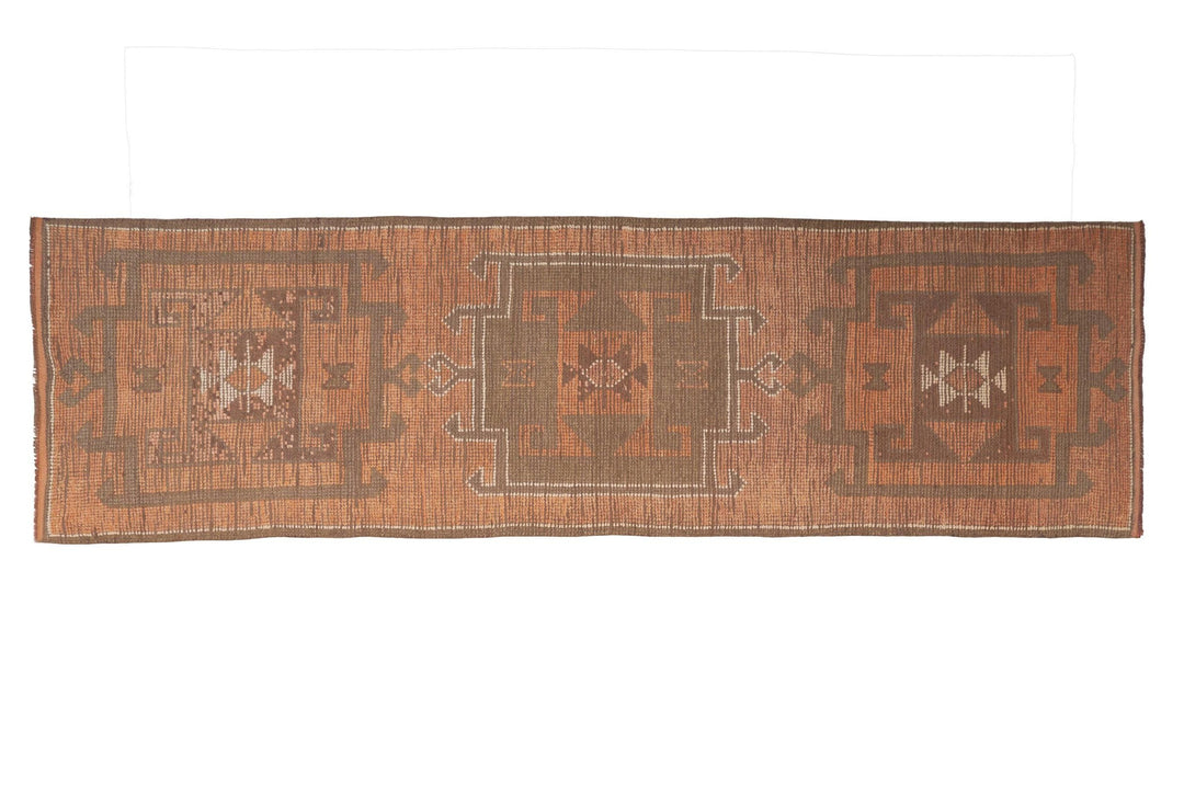 Runner Rug 3' 1" x 11' | No. VR31841