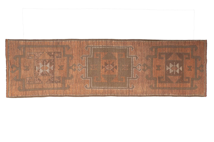 Runner Rug 3' 1" x 11' | No. VR31841