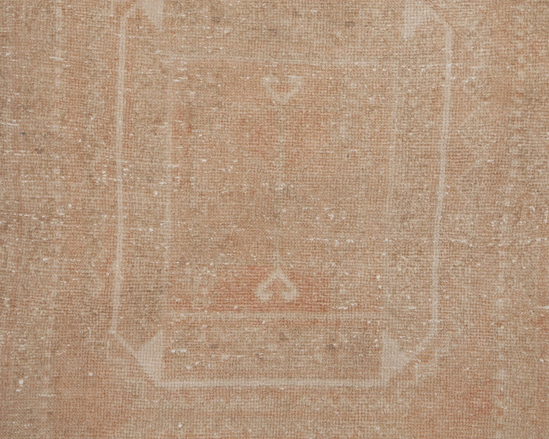Beige Runner Rug 3' 5" x 10' 11" | No. VR21921