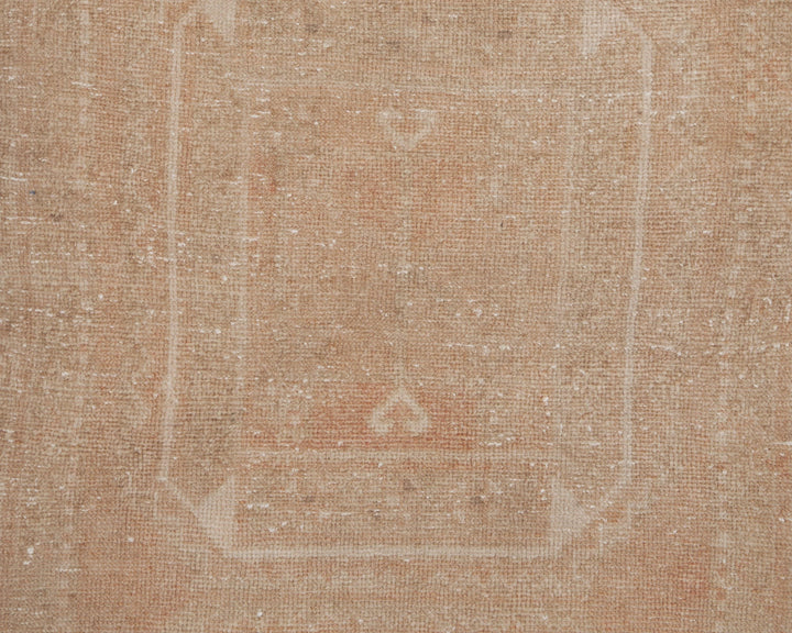Beige Runner Rug 3' 5" x 10' 11" | No. VR21921