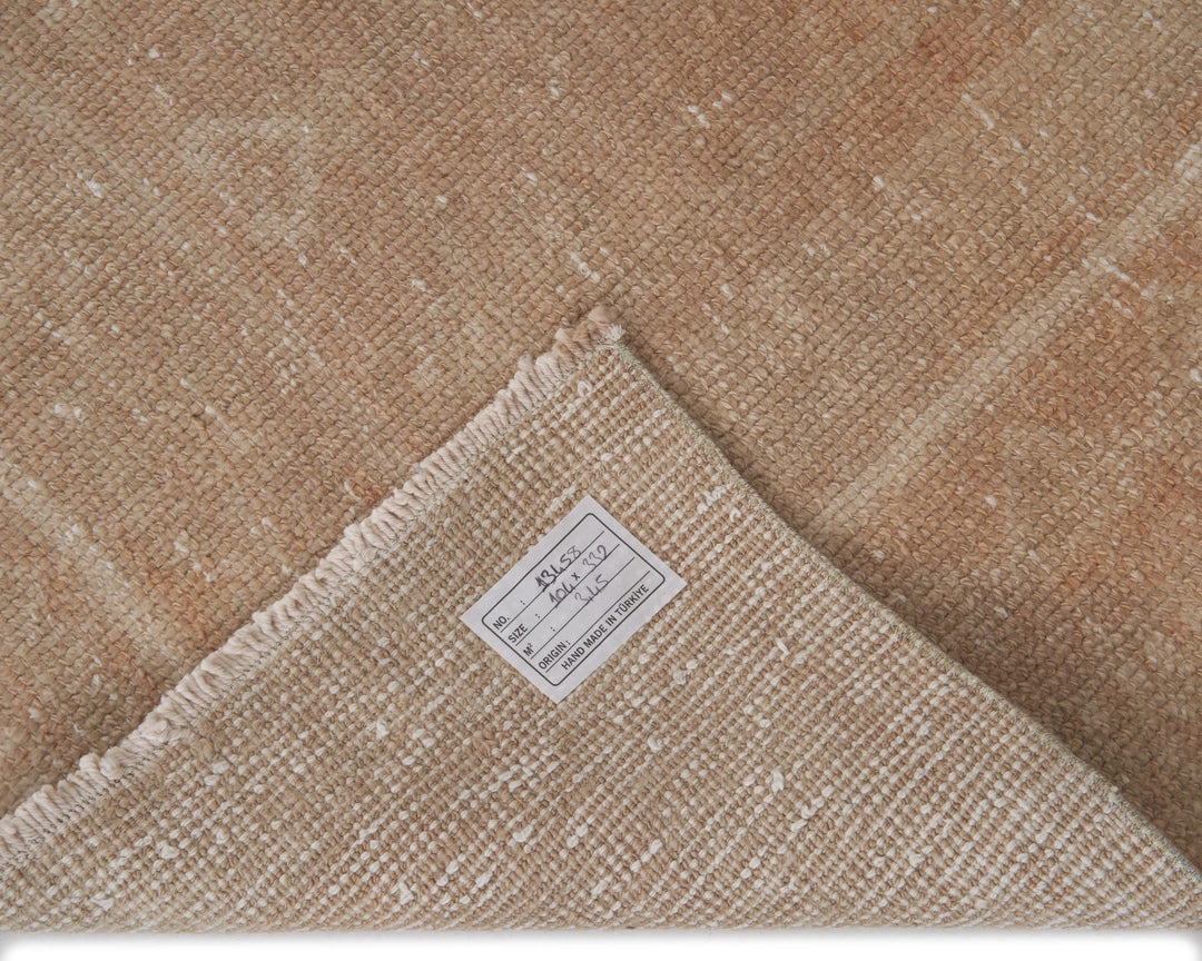 Beige Runner Rug 3' 5" x 10' 11" | No. VR21921