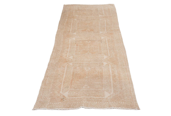 Beige Runner Rug 3' 5" x 10' 11" | No. VR21921