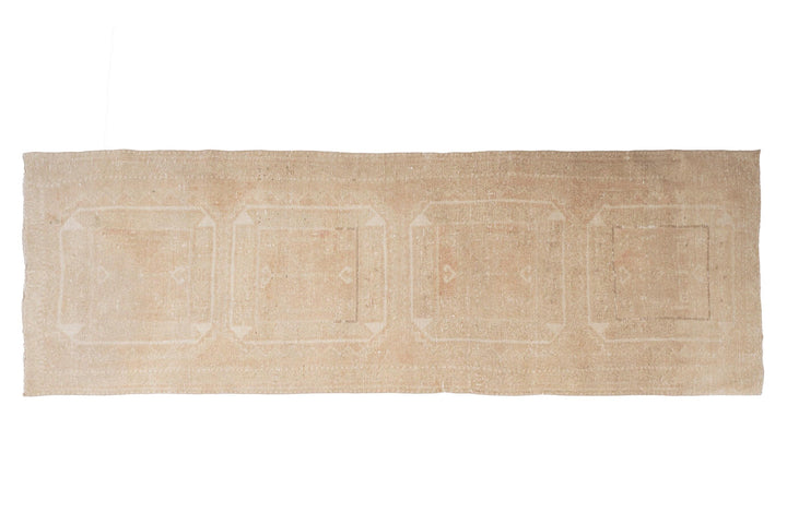 Beige Runner Rug 3' 5" x 10' 11" | No. VR21921