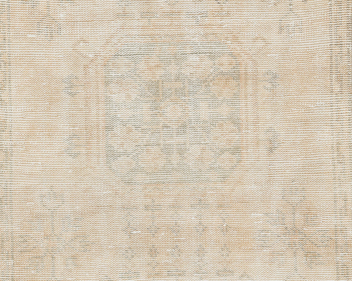 Beige Runner Rug 3' 1" x 11' 2" | No. VR36641