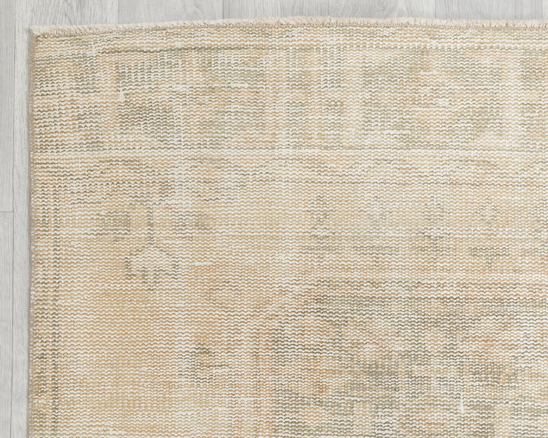 Beige Runner Rug 3' 1" x 11' 2" | No. VR36641