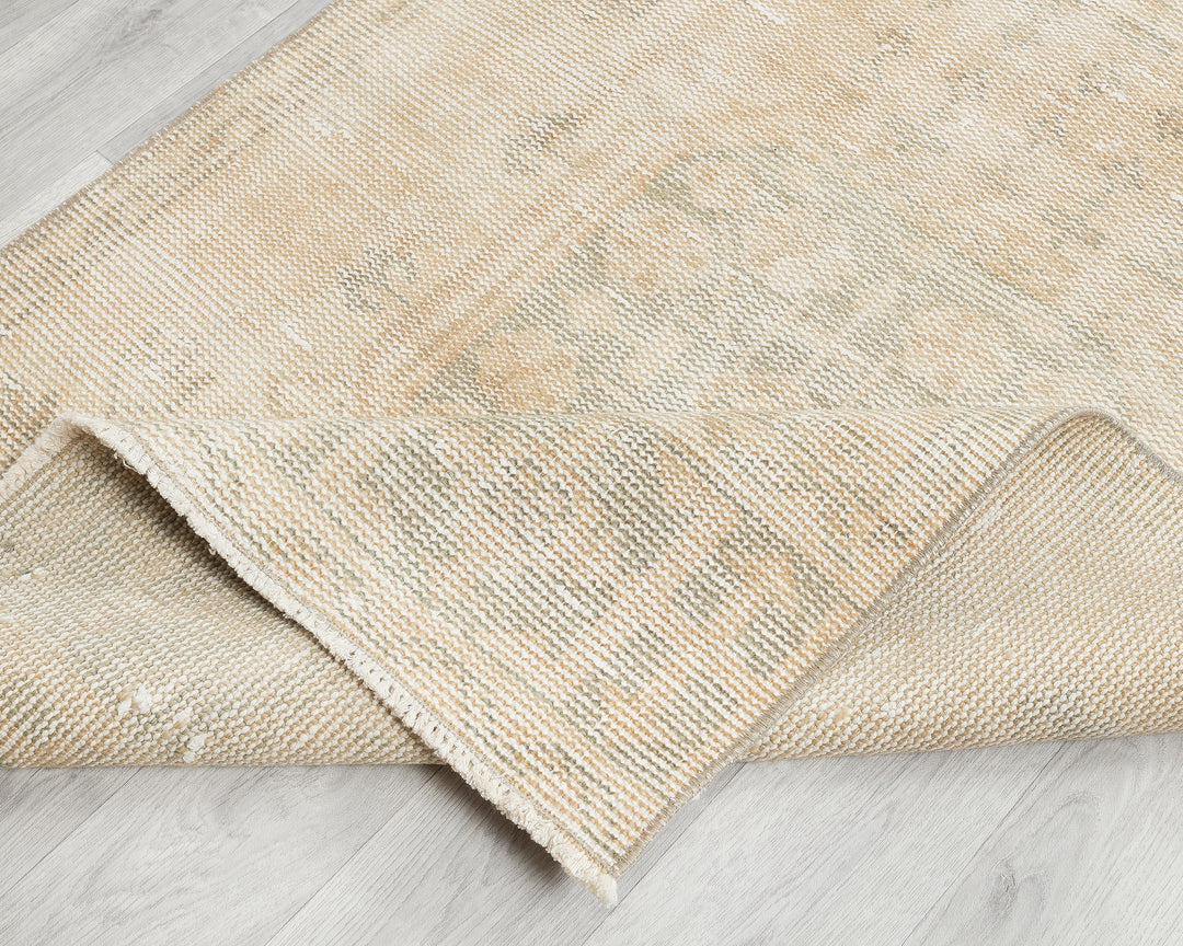 Beige Runner Rug 3' 1" x 11' 2" | No. VR36641