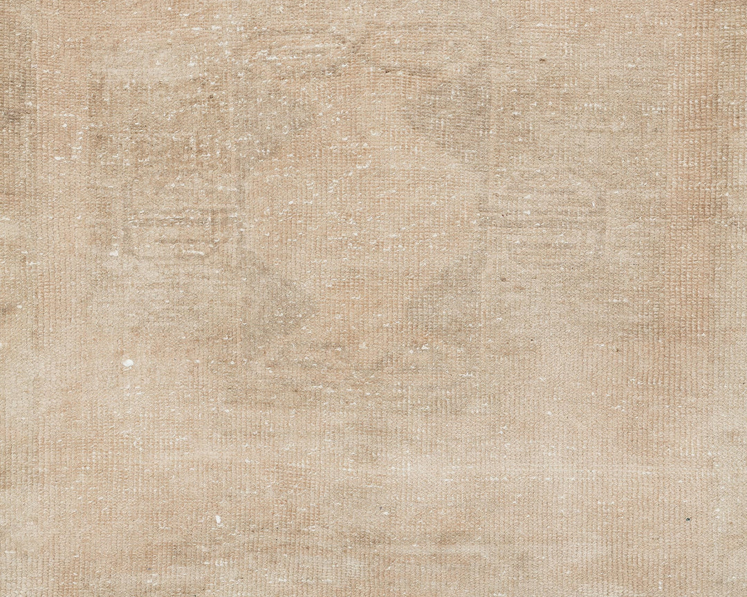Beige Runner Rug 3' 1" x 12' 7" | No. VR78045