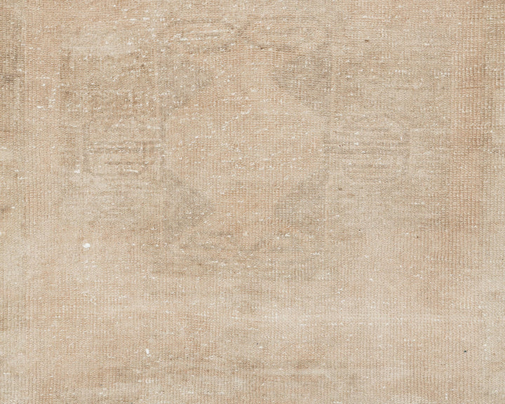 Beige Runner Rug 3' 1" x 12' 7" | No. VR78045
