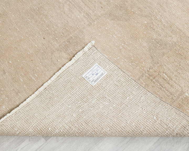 Beige Runner Rug 3' 1" x 12' 7" | No. VR78045
