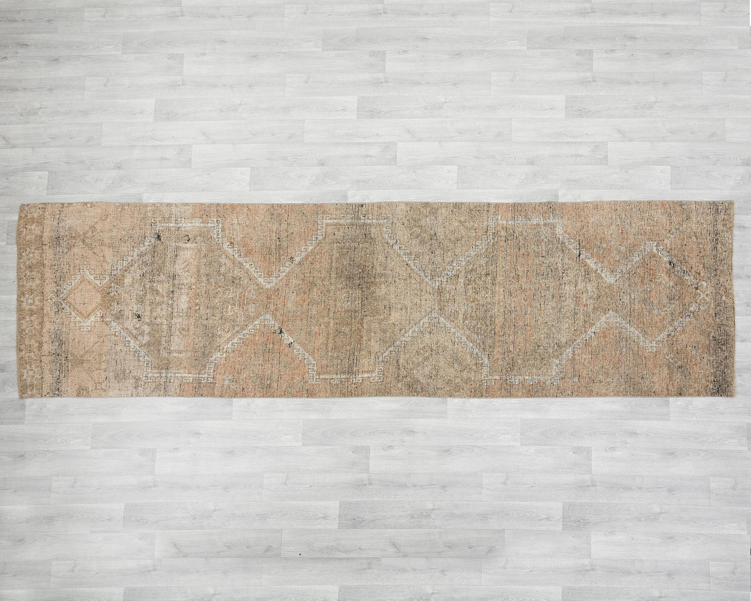 Beige Runner Rug 3' 1" x 11' 1" | No. VR72140
