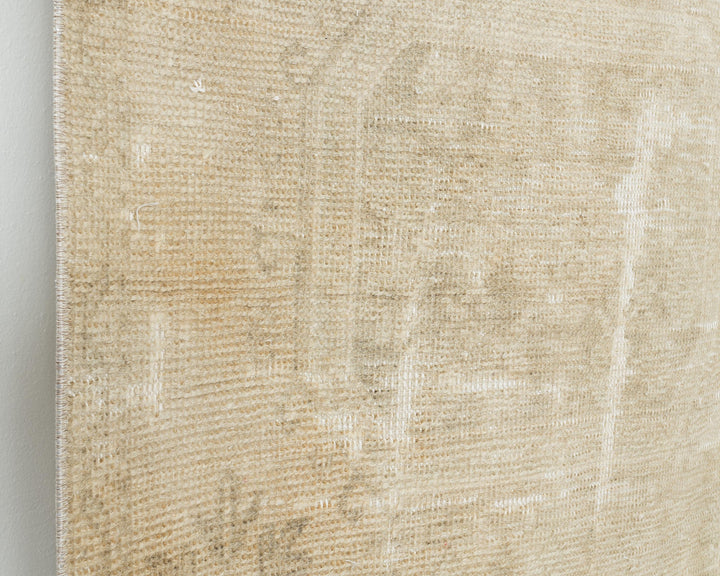 Beige Runner Rug 3' x 11' 4" | No. VR80376