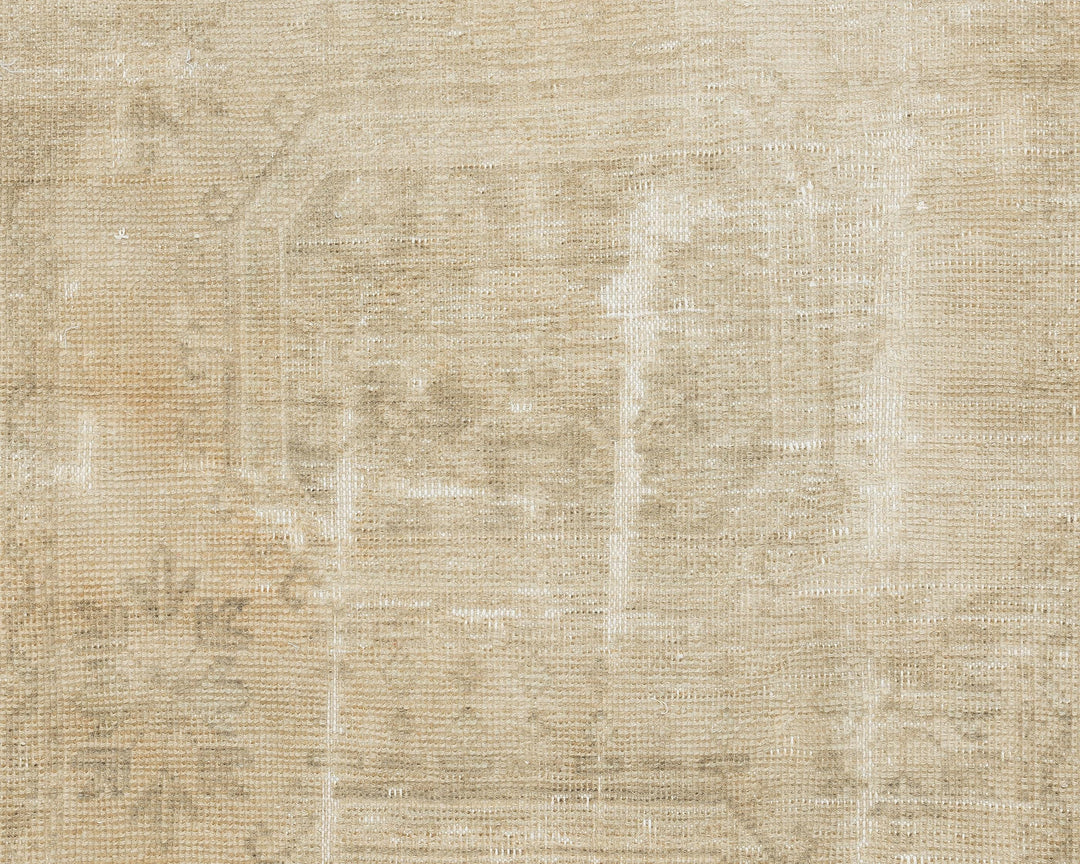 Beige Runner Rug 3' x 11' 4" | No. VR80376