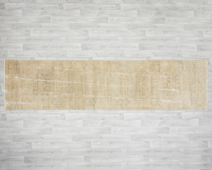 Beige Runner Rug 3' x 11' 4" | No. VR80376
