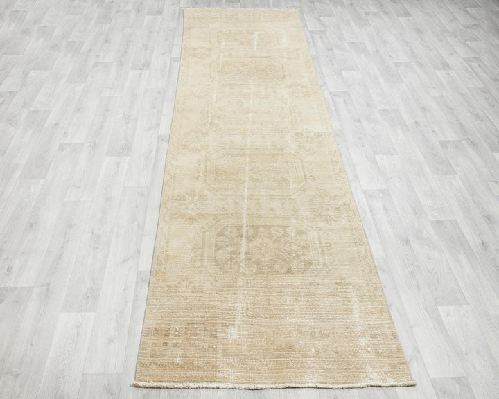 Beige Runner Rug 3' x 11' 4" | No. VR80376