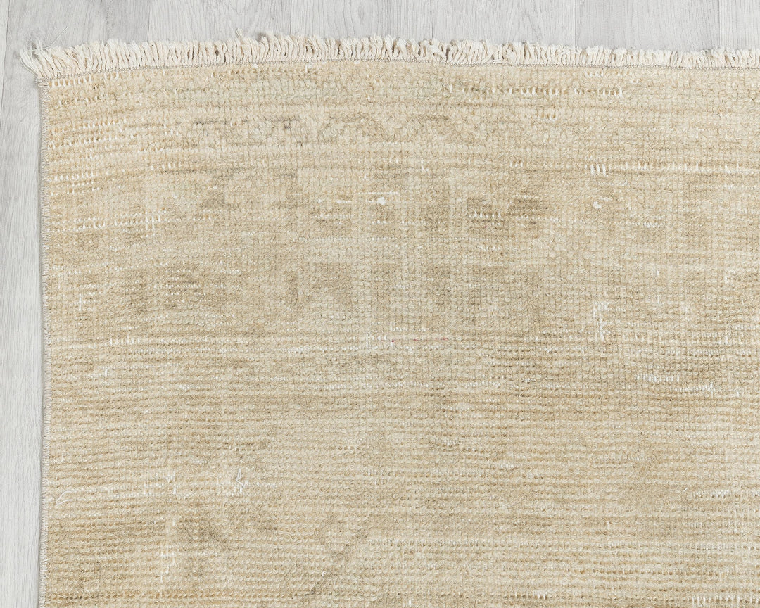 Beige Runner Rug 3' x 11' 4" | No. VR80376