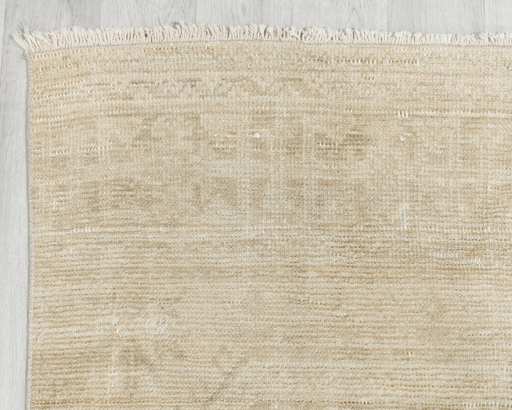 Beige Runner Rug 3' x 11' 4" | No. VR80376