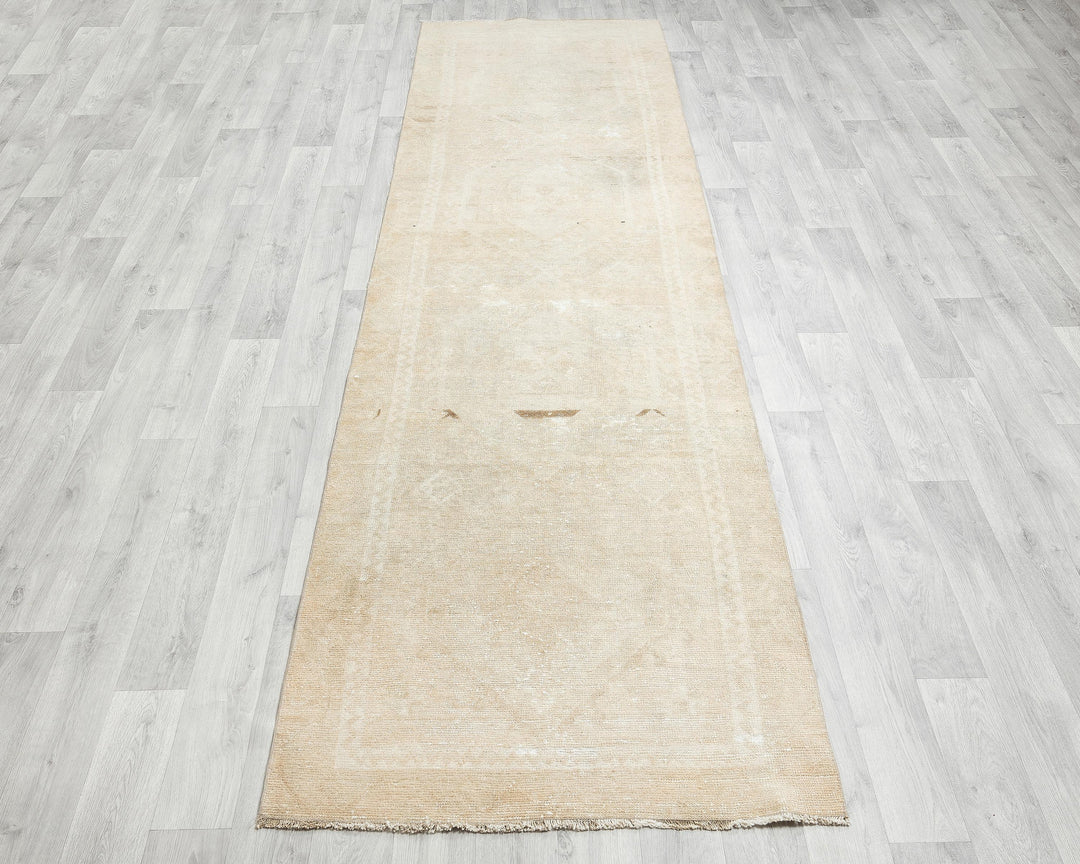 Beige Runner Rug 3' x 10' 10" | No. VR82095