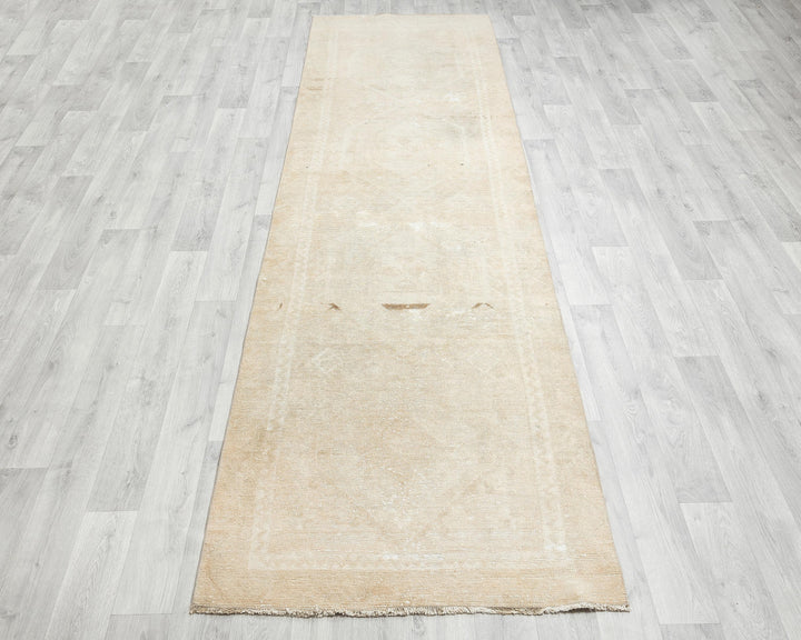 Beige Runner Rug 3' x 10' 10" | No. VR82095