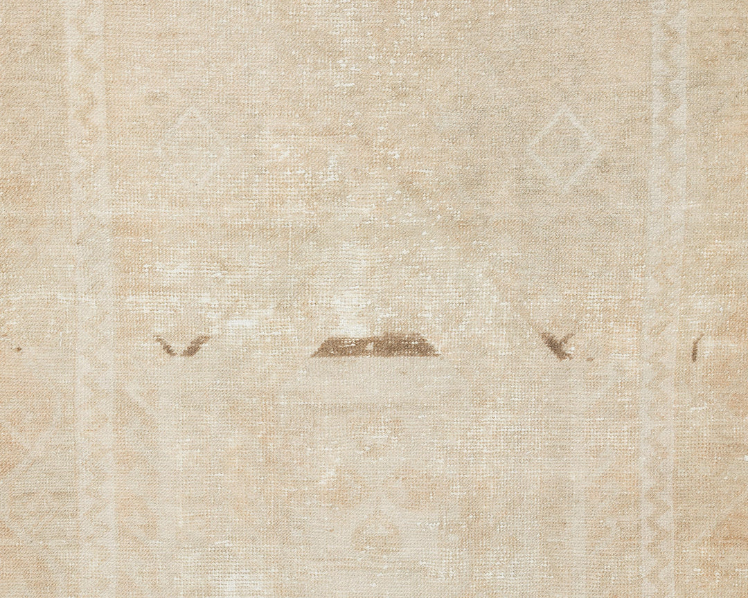 Beige Runner Rug 3' x 10' 10" | No. VR82095
