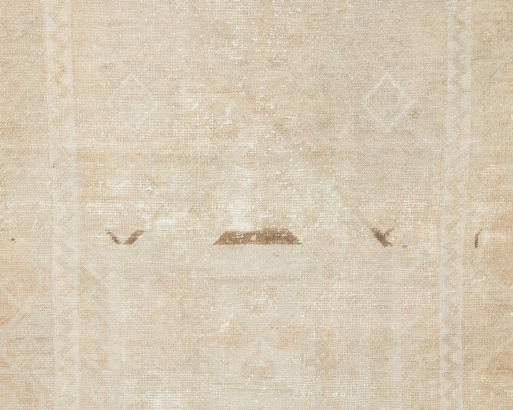 Beige Runner Rug 3' x 10' 10" | No. VR82095