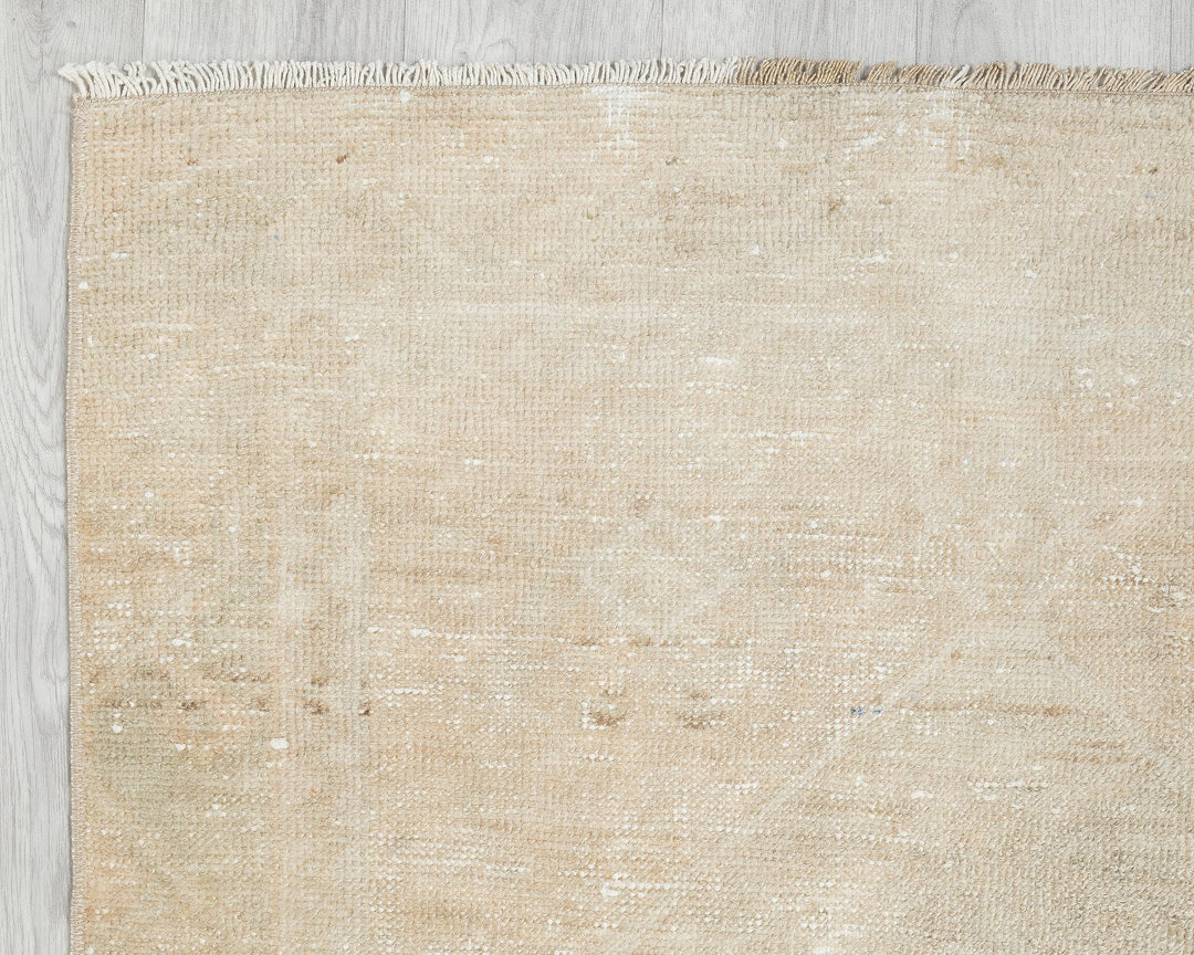 Beige Runner Rug 3' x 10' 10" | No. VR82095