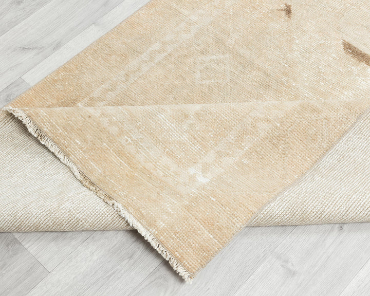 Beige Runner Rug 3' x 10' 10" | No. VR82095