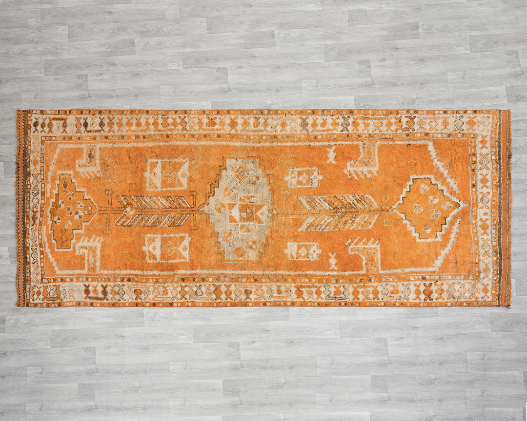 Runner Rug 4' 8" x 11' | No. VR27414