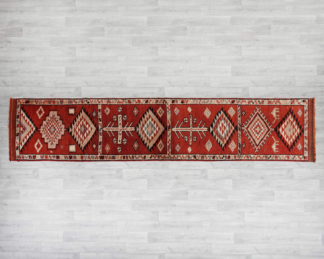 Runner Rug 11' 10" x 2' 7" | No. VR82923