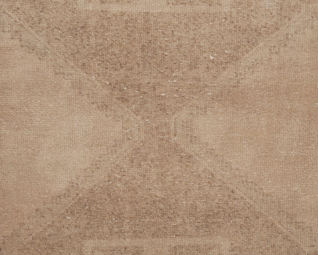 Beige Runner Rug 2' 7" x 12' 7" | No. VR91456